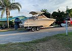 Scout 255 Dorado 2017
