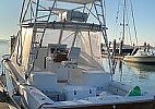 Egg Harbor Predator 2004