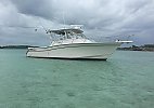 Grady-White 330 Express 2003