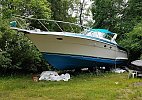Weldcraft Portofino 1989
