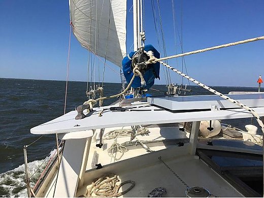 1975 Formosa Sea Tiger