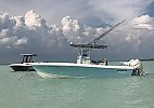 Bluewater Sportfishing 23t 2007