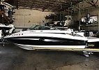 Sea Ray 220 Sundeck 2010