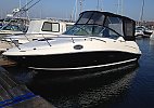 Sea Ray 240 Sundancer 2007