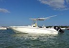 Boston Whaler 270 Outrage 2006