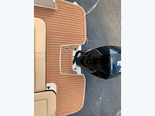 2019 Sea Ray SDX 250 Outboard