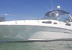 Sea Ray 340 Sundancer 2004