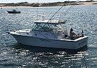 Pursuit 3400 Express 2002