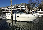 Sea Ray 290 Amberjack 2000