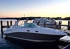 Sea Ray 260 Sundancer 2007