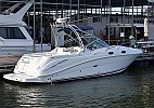Sea Ray 270 Amberjack 2005