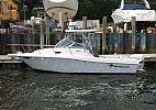 Wellcraft 240 Coastal 2003