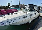 Sea Ray 260 Sundancer 2002