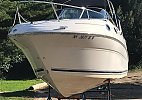 Sea Ray 240 Sundancer 2003