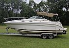 Sea Ray 260 Sundancer 1999