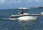 Sea Fox 246 Commander 2015