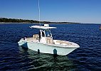 Sea Fox 246 Commander 2015