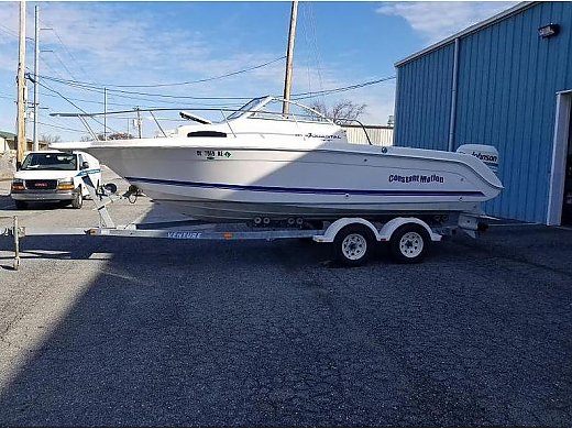 1996 Wellcraft 218 Coastal