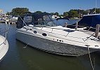 Sea Ray 260 Sundancer 2001