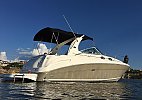 Sea Ray 300 Sundancer 2006
