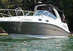 Sea Ray 260 Sundancer 2006