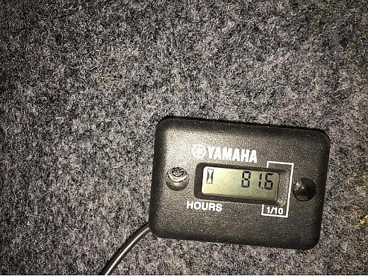 2007 Yamaha AR230