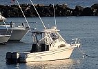 Grady-White Sailfish 282 2005