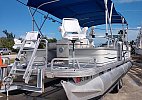 Sun Tracker pontoon 2006