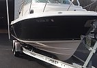 Cobia 256 Express 2011