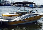 Sea Ray 185 Sport 2010