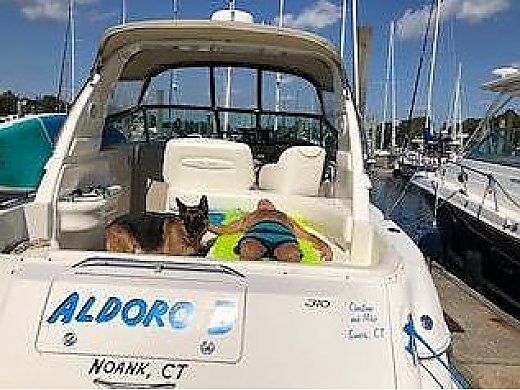 2000 Sea Ray 310 Sundancer