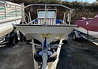Boston Whaler 17 Montauk 1989