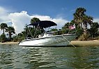 Boston Whaler 180 Dauntless 2003