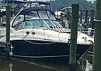 Sea Ray 320 Sundancer 2005