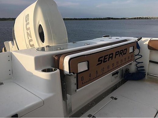2019 Sea Pro 219 CC