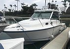 Boston Whaler 315 Conquest 2018