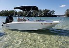 Boston Whaler 150 Super Sport 2017