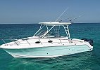 Robalo R305 Walkaround 2018