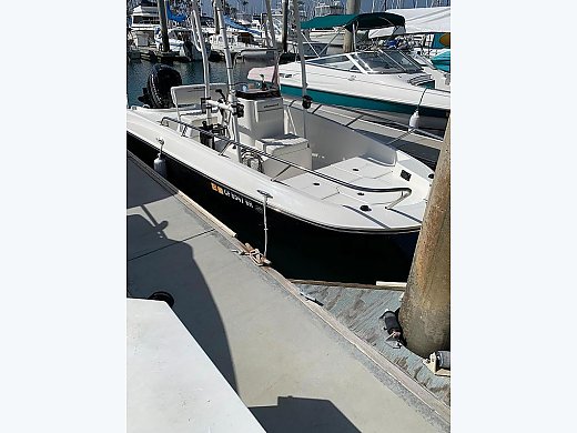 2019 Bayliner Element F18
