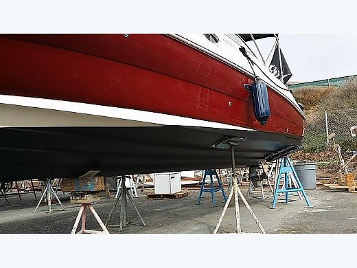 2006 Sea Ray 240SD Sundeck