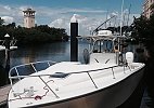 Sea Vee 34 Cuddy 2005