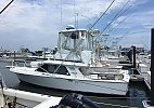 Blackfin 29 Flybridge 1986