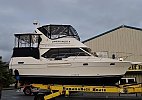 Bayliner 3587 1999