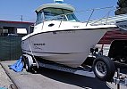 Seaswirl 2100 Striper 2004