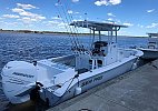 Sea Pro 239 2017