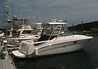 Sea Ray 290 Amberjack 2008