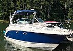 Chaparral 310 Cruiser 2006