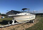 Bayliner Trophy 2001