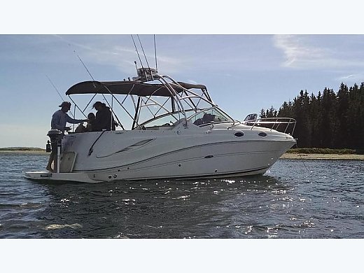 2007 Sea Ray 270 Amberjack