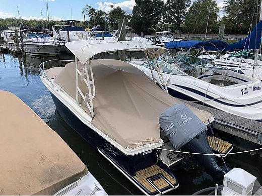 2016 Scout Dorado
